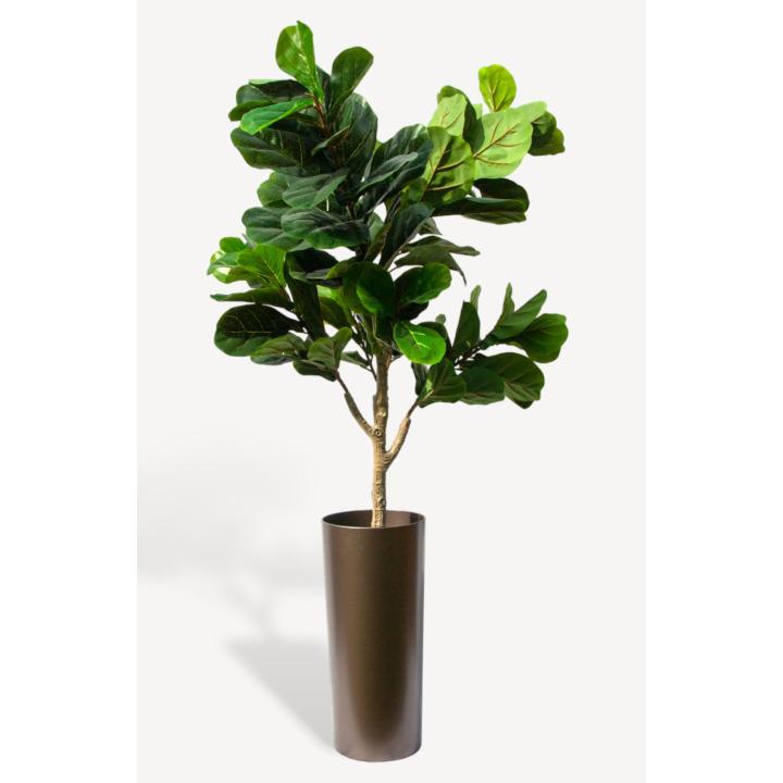 Vioolbladplant Kunstplant - 145 cm