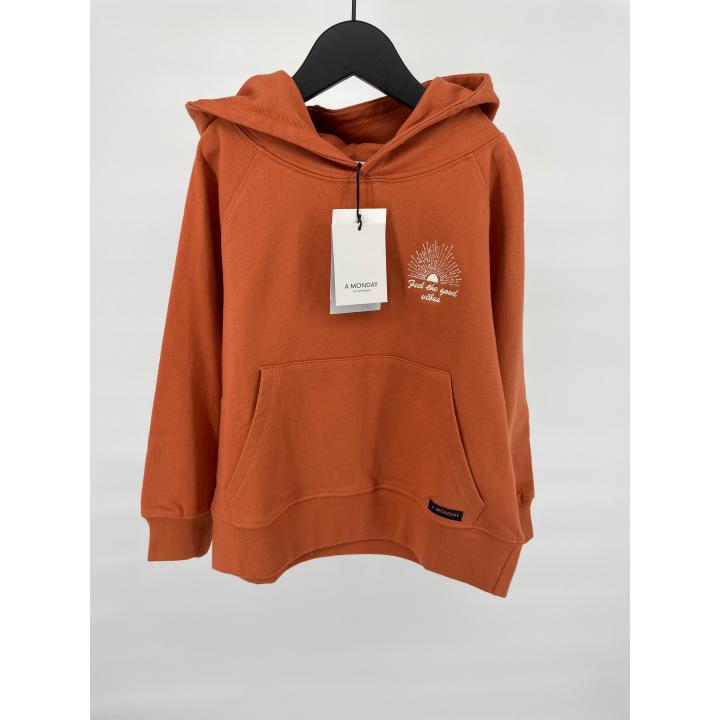 Hoodie Bruin Maat 104