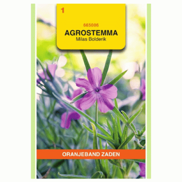 Oranjeband Agrostemma, Bolderik Milas