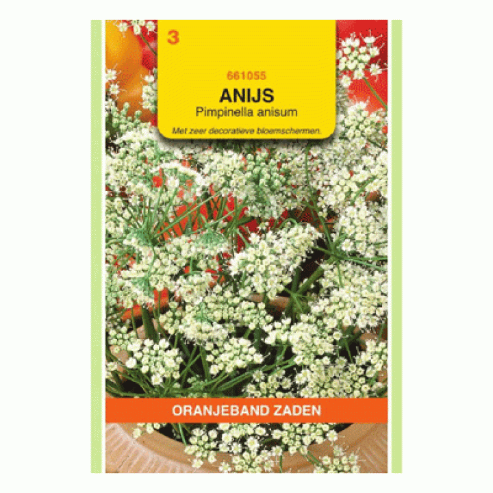 Oranjeband Anijs