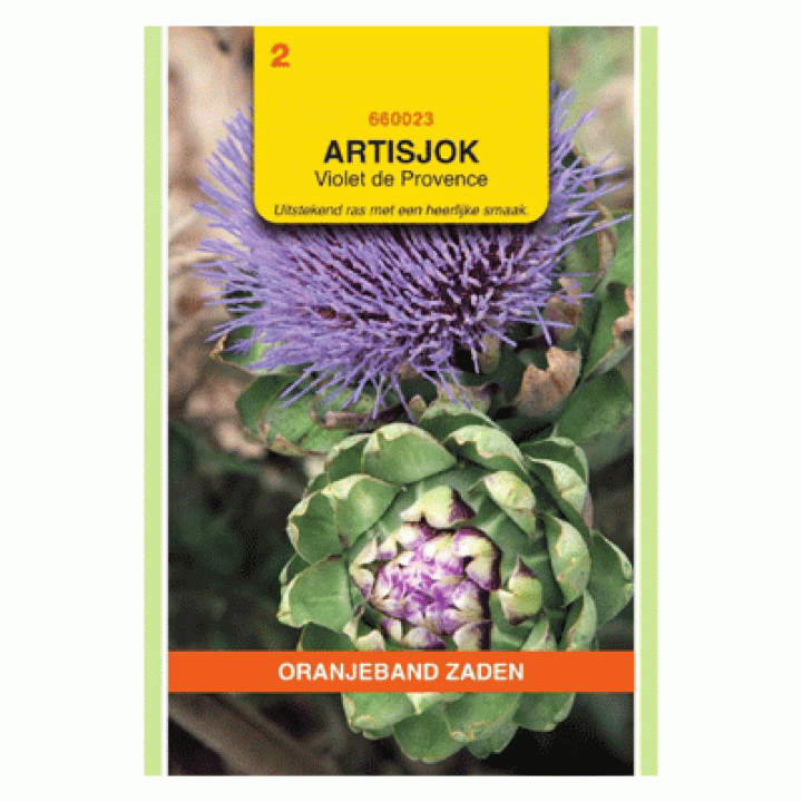 Oranjeband zaden Artisjokken Violet de Provence