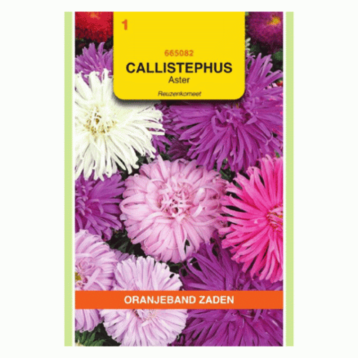 Oranjeband Callistephus, Aster Reuzenkomeet gemengd