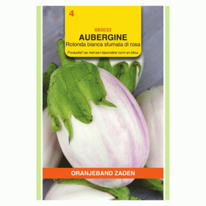 Oranjeband zaden Aubergine Rotonda bianca sfumata di rosa