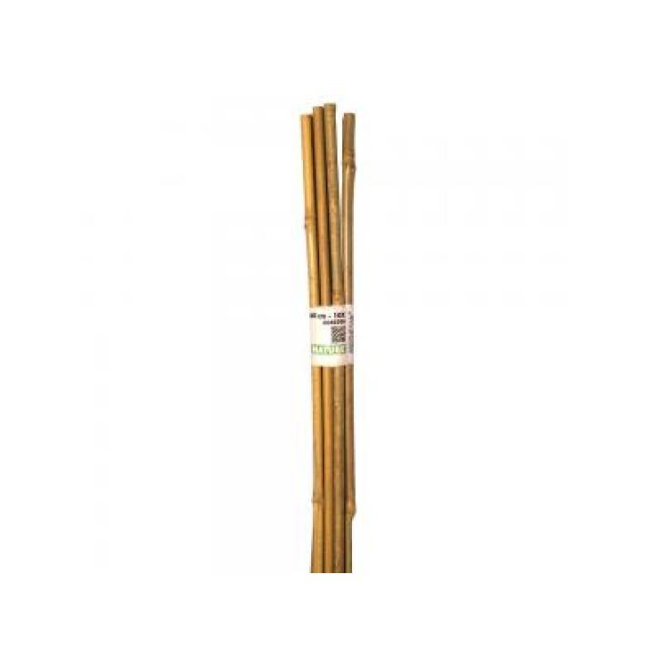 Bamboestok / tonkinstok 60 cm  set 10st.