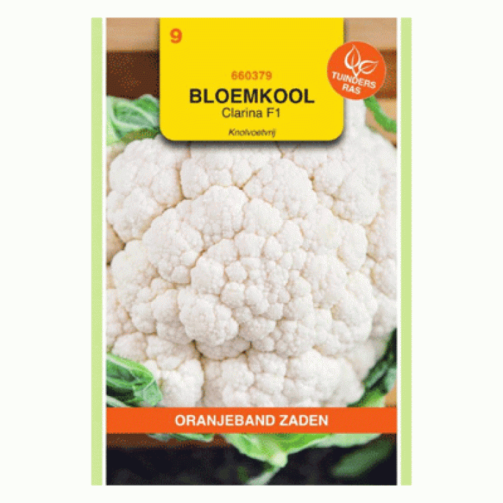 Oranjeband Bloemkool Clarina F1