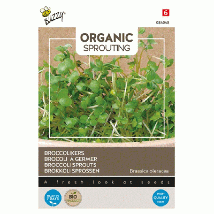 Buzzy® Organic Sprouting Broccolikers ( BIO )