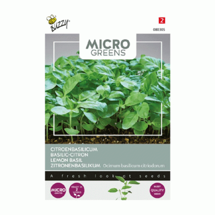 Buzzy® Microgreens, Citroenbasilicum