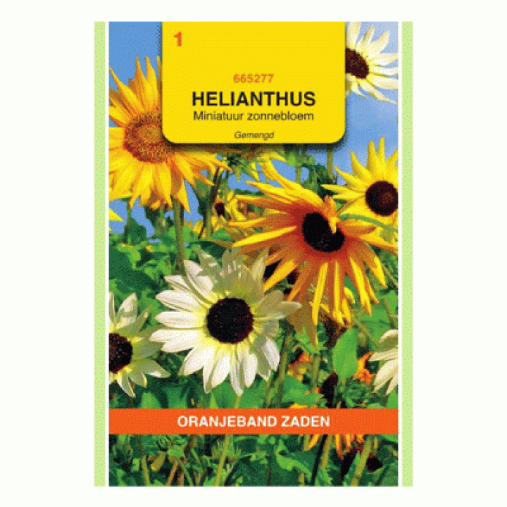 Oranjeband zaden Helianthus, miniatuur Zonnebloem gemengd