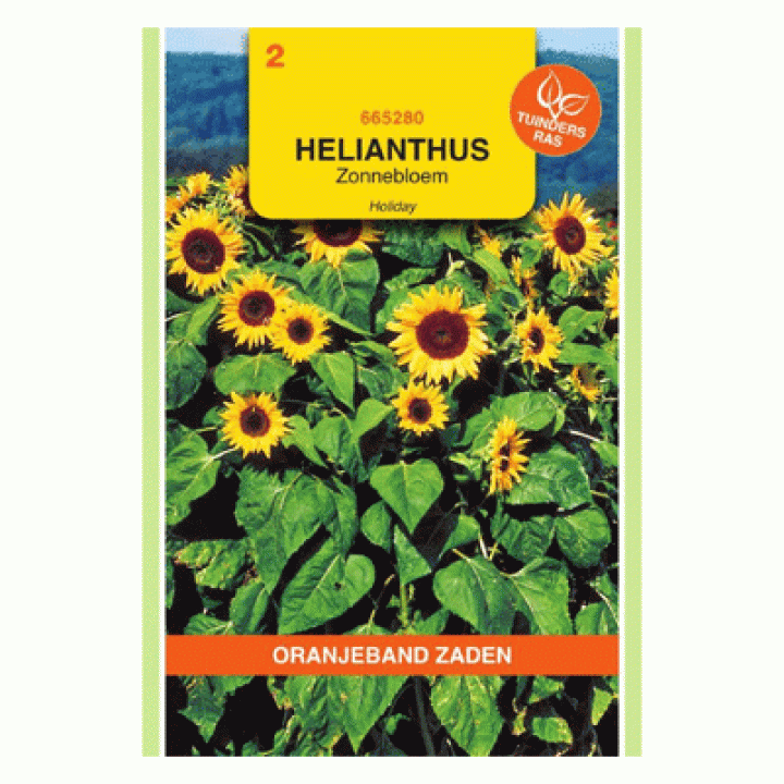 Oranjeband zaden Helianthus, Zonnebloem Holiday
