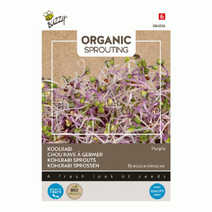 Buzzy® Organic Sprouting koolrabi purple ( BIO )