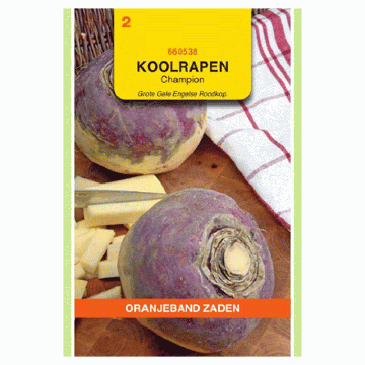 Oranjeband Koolrapen Grote Gele Engelse Roodkop ( Champion)