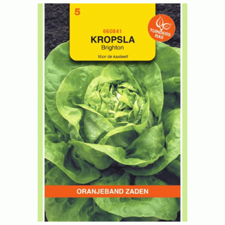 Oranjeband Kropsla Brighton - Kassla-