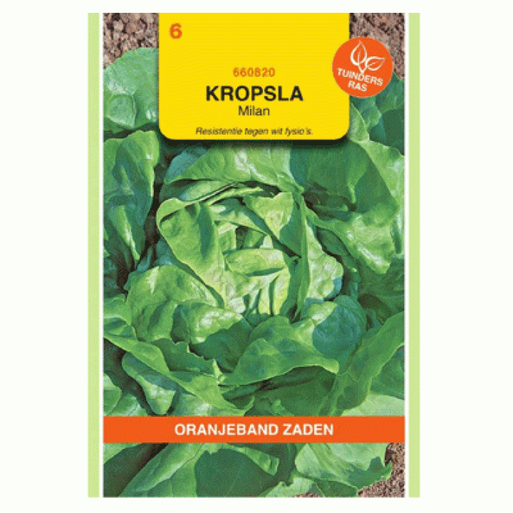 Oranjeband Kropsla Milan