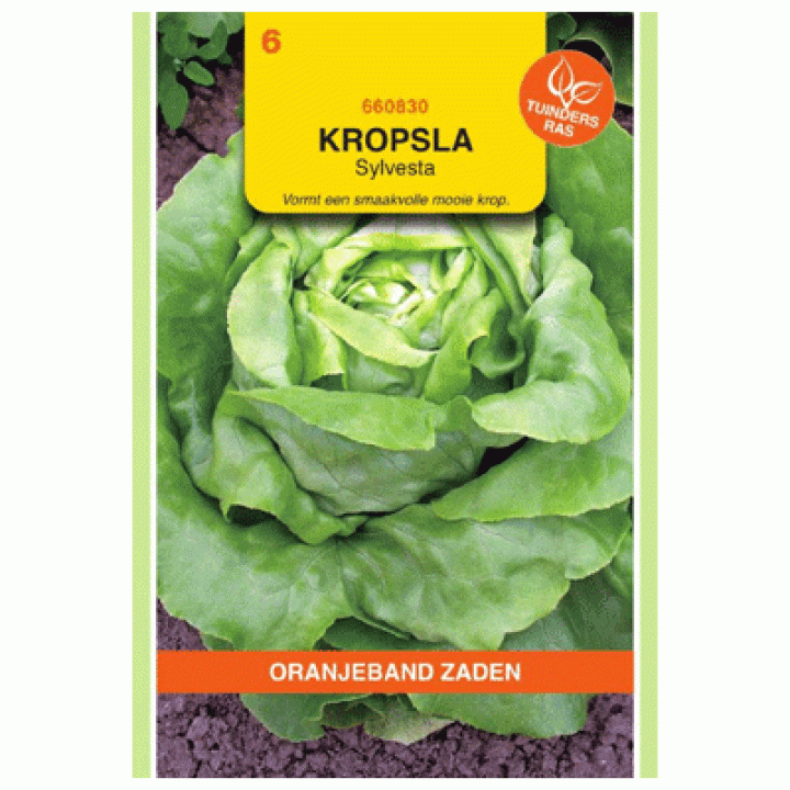 Oranjeband Kropsla Sylvesta