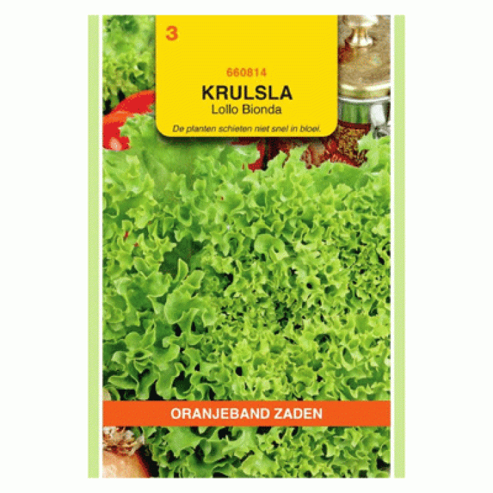 Oranjeband Krulsla Lollo Bionda