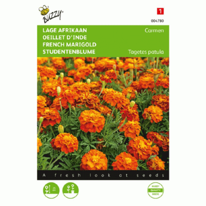 Buzzy® Tagetes, lage Afrikaan Carmen