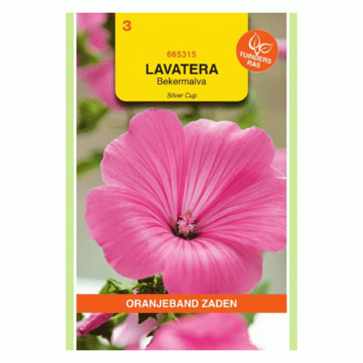 Oranjeband Lavatera, Bekermalva Silver Cup