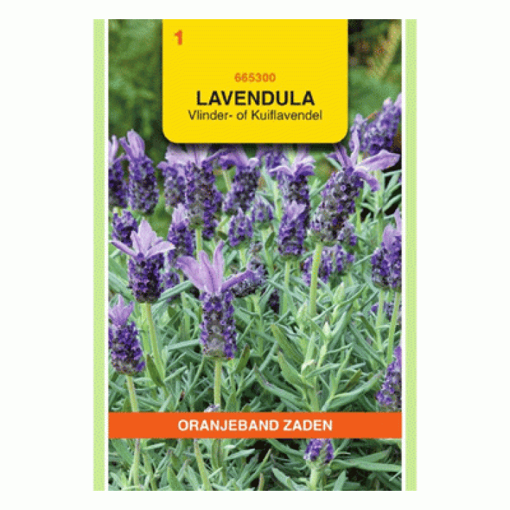 Oranjeband Lavendel, Vlinder- of Kuiflavendel