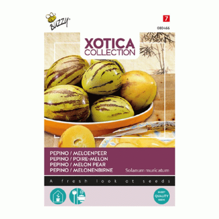 Buzzy® Xotica Pepino, Meloenpeer