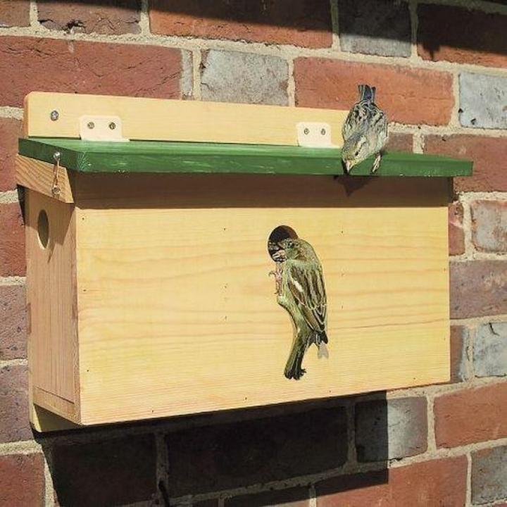 Vogelbescherming Nederland nestkast mus groen - Mussenstraat