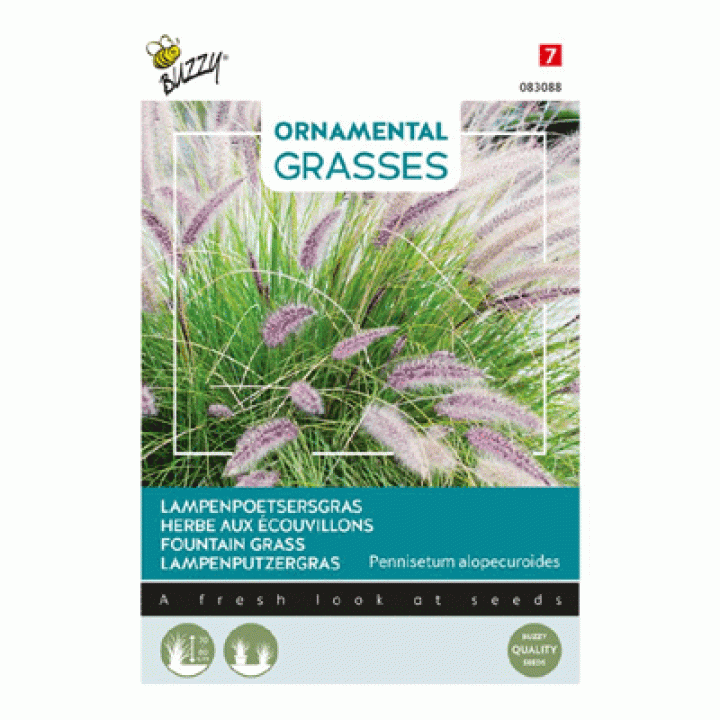 Buzzy® Ornamental Grasses, Lampenpoetsersgras