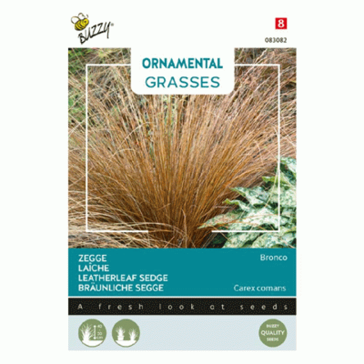 Buzzy® Ornamental Grasses, Zegge 'Bronco'