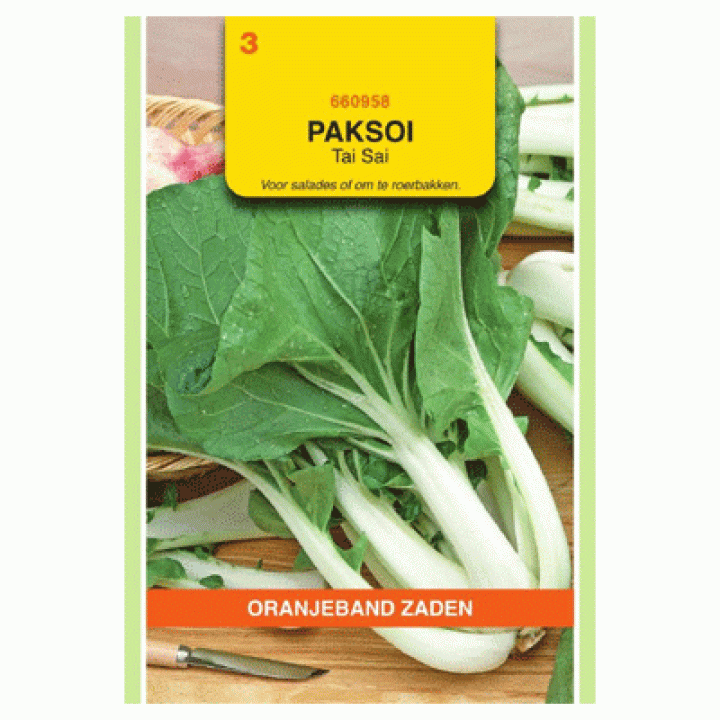 Oranjeband Paksoi Tai Sai