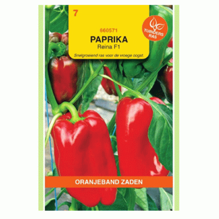 Oranjeband zaden Paprika Solero F1 (vh Reina)