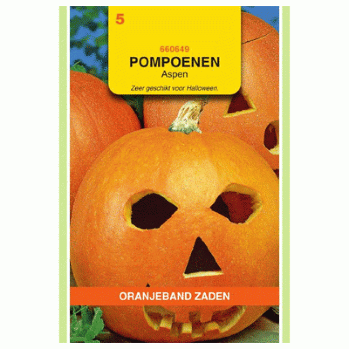Oranjeband Pompoen Aspen