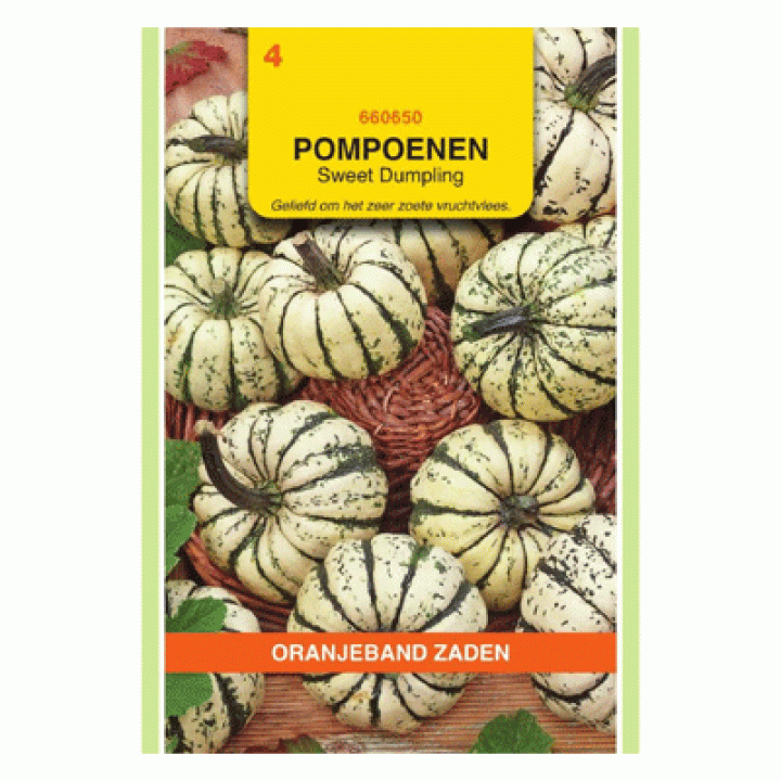 Oranjeband Pompoenen Sweet Dumpling