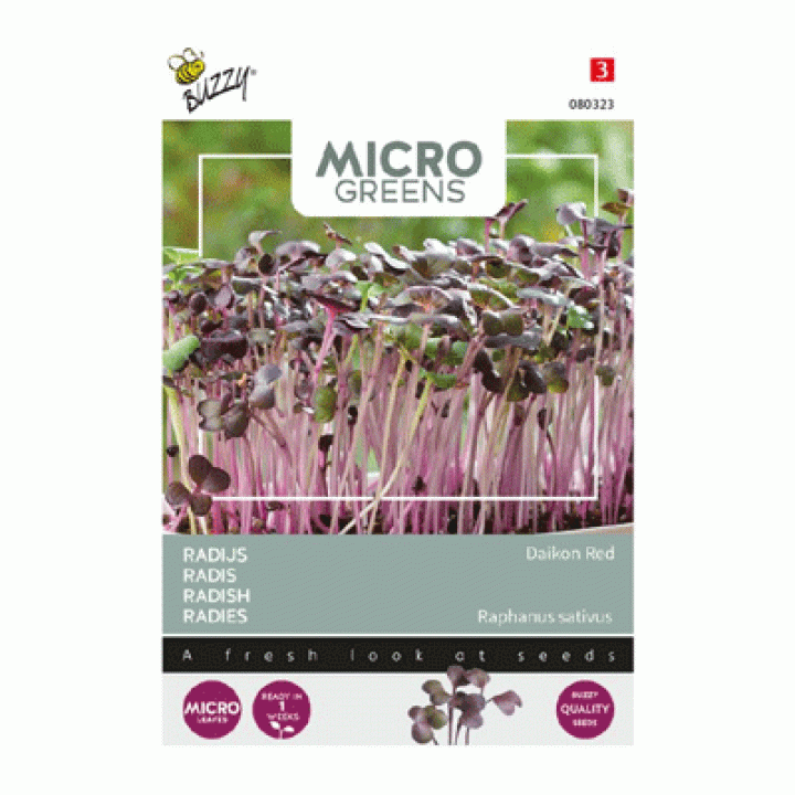 Buzzy® Microgreens, Radijs Rode Daikon