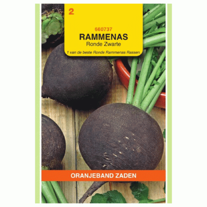 Oranjeband Rammenas Ronde Zwarte