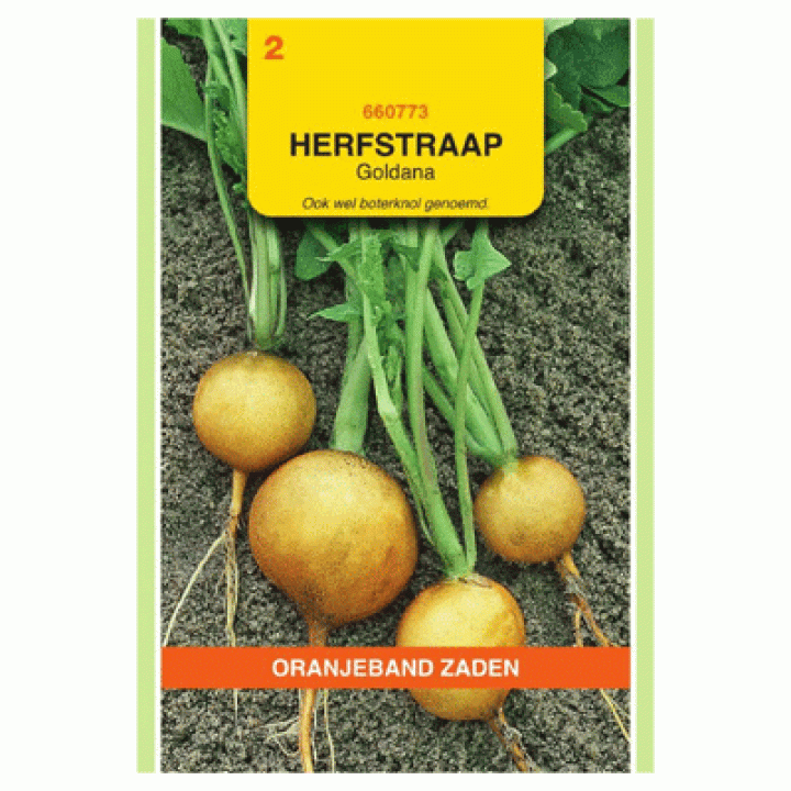 Oranjeband Herfstraap Goldana