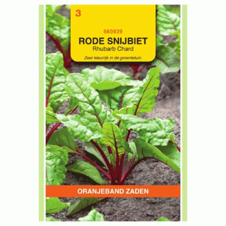 Oranjeband zaden Rode Snijbiet Rhubarb Chard