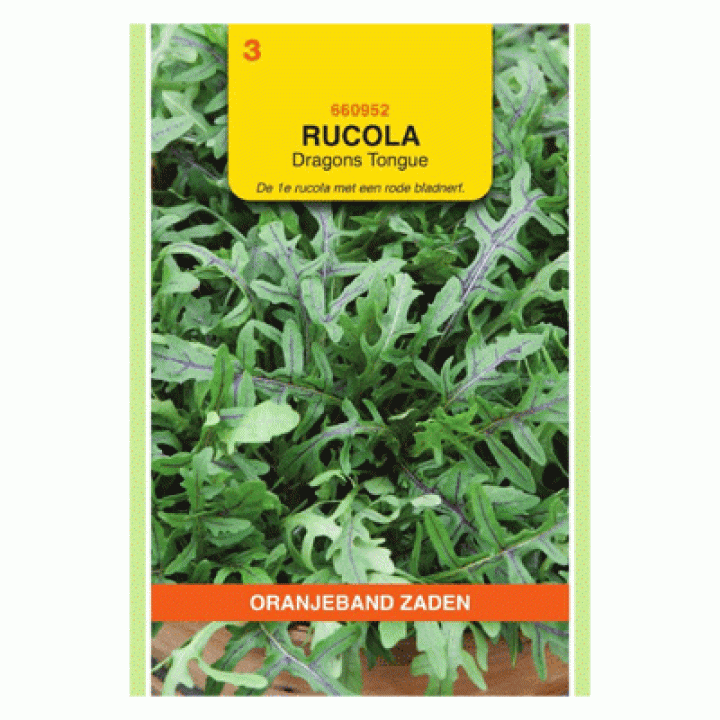 Oranjeband Rucola Dragons Tonque