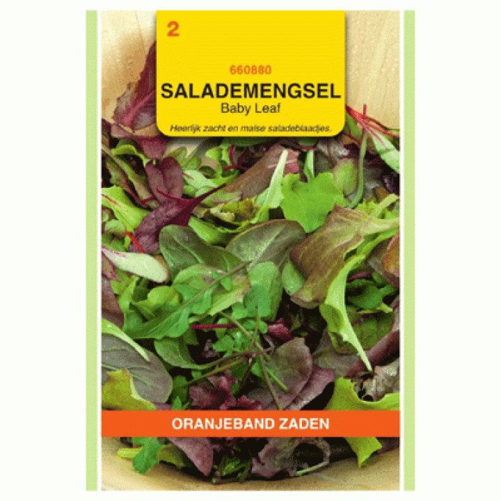 Oranjeband zaden Salade Mengsel Baby-Leaf