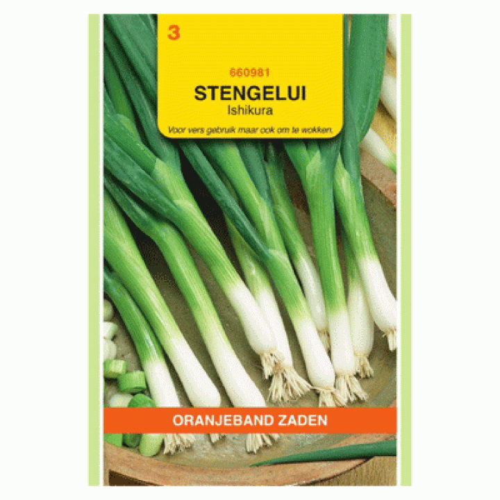 Oranjeband Stengelui Ishikura