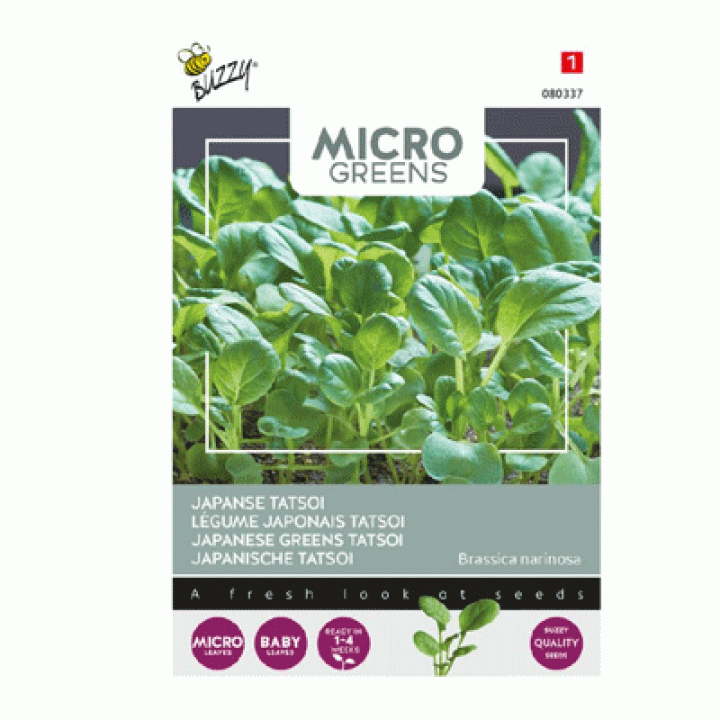 Buzzy® Microgreens, Tatsoi