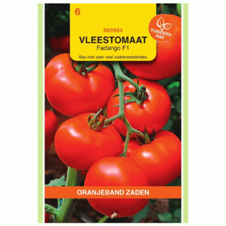 Oranjeband Vleestomaat Fandango F1