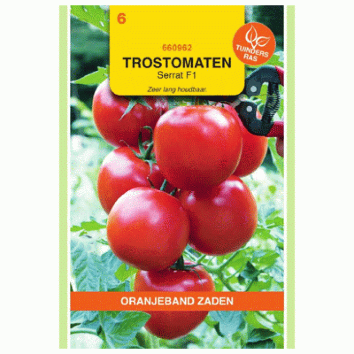 Oranjeband Trostomaten Serrat F1