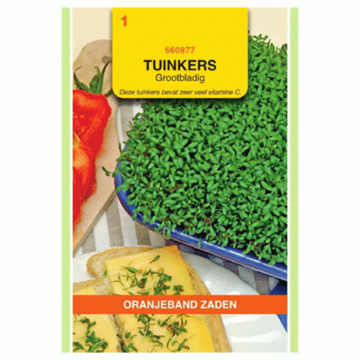 Oranjeband Tuinkers Grootbladig