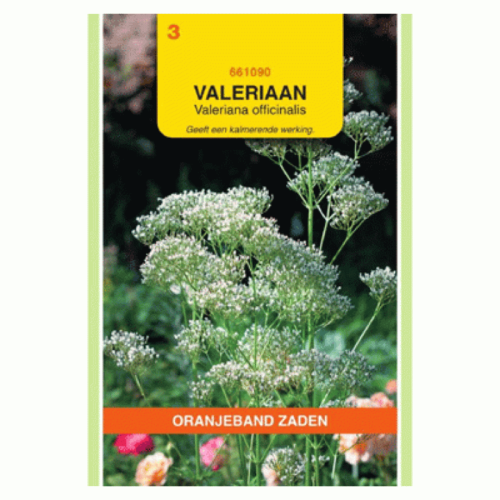 Oranjeband zaden Valeriaan