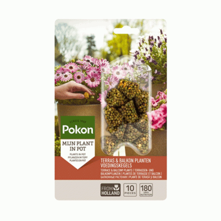 Pokon voedingskegels voor terras en balkonplanten - 10 stuks