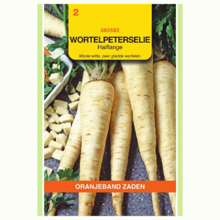 Oranjeband Wortelpeterselie Halflange