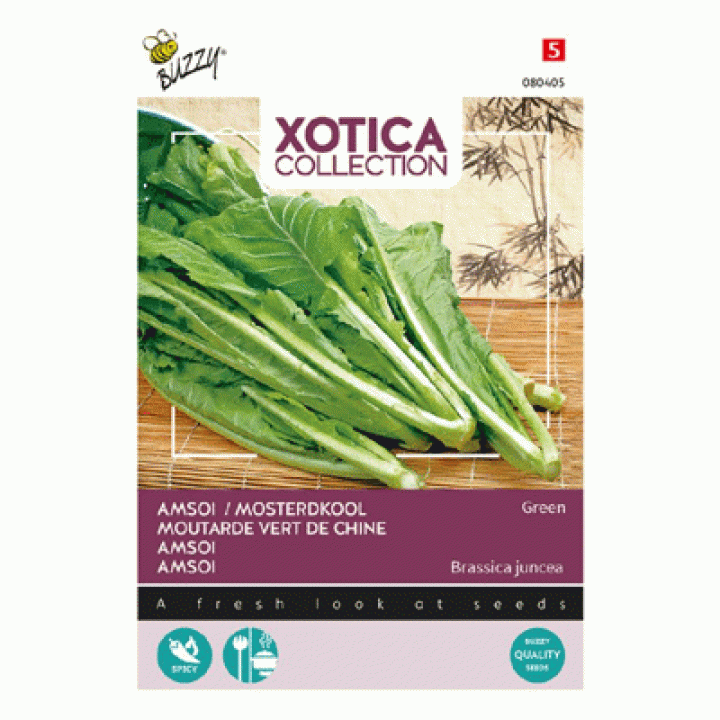 Buzzy® Xotica Groene Amsoi of Mosterdkool