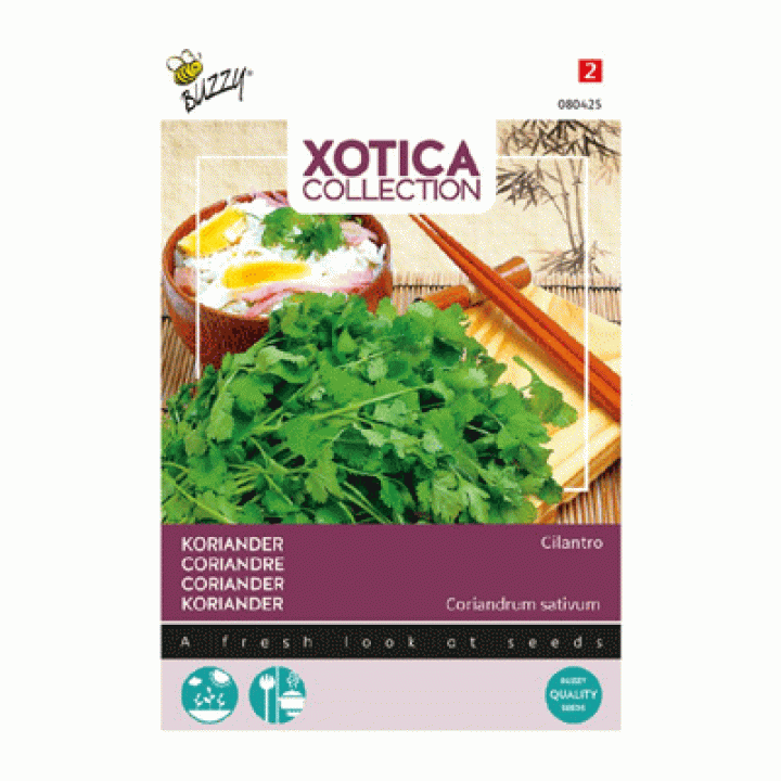 Buzzy® Xotica Koriander Cilantro