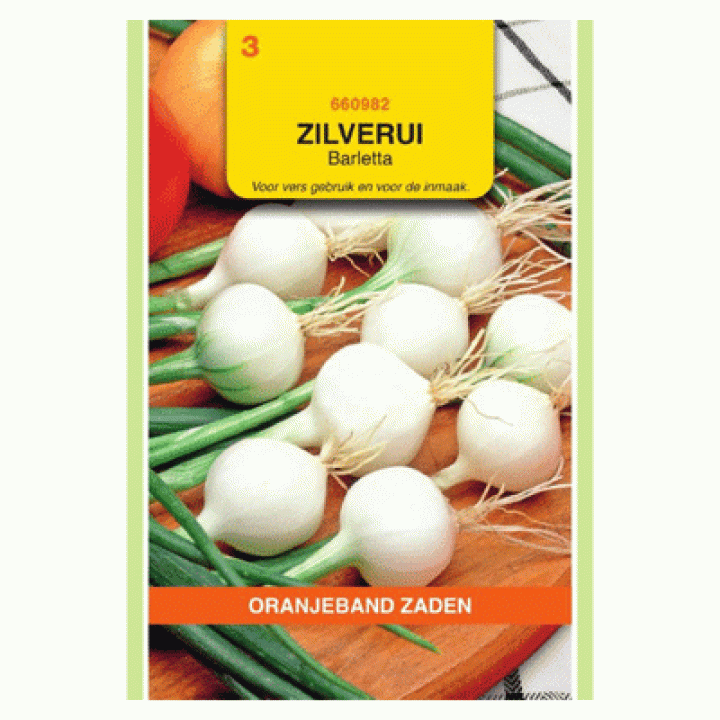Oranjeband Zilverui Barletta