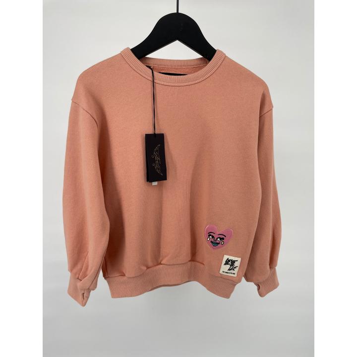 Trui Poeder Roze Maat 122