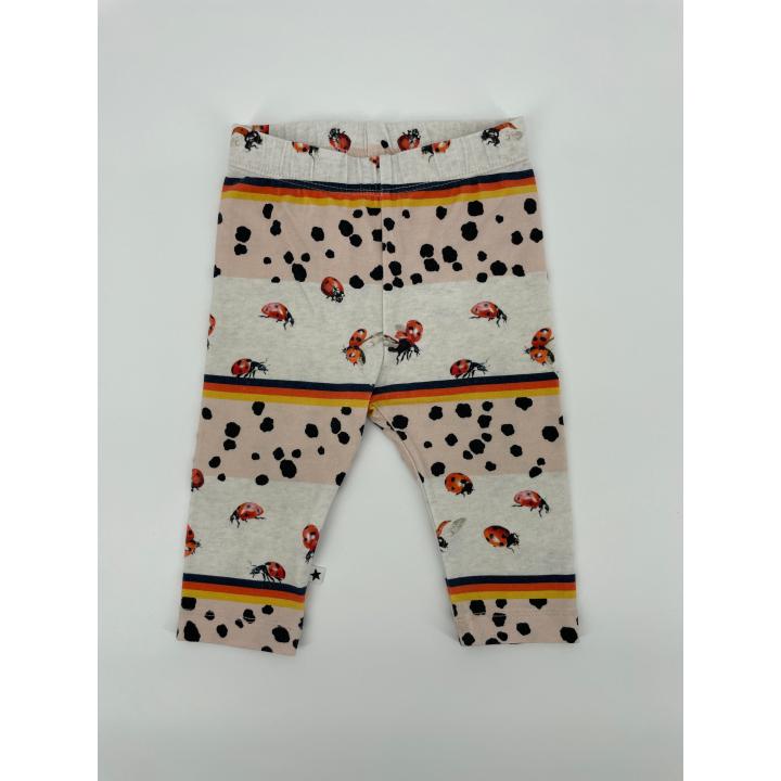 Broekje Lieveheersbeestjes Multi Color Maat 68
