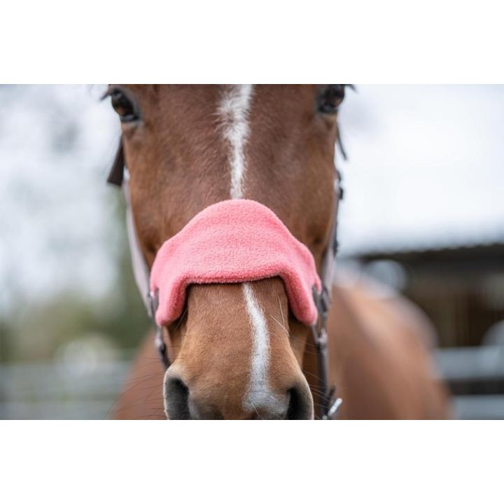 Ontdek de beste halster met draadslot voor jouw paard! - Warmblut WB Full - Mokka / Milky Pink